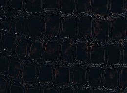 NW CAIMAN 91-5179.jpg