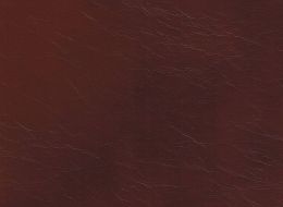 KOA AURA 0847.jpg